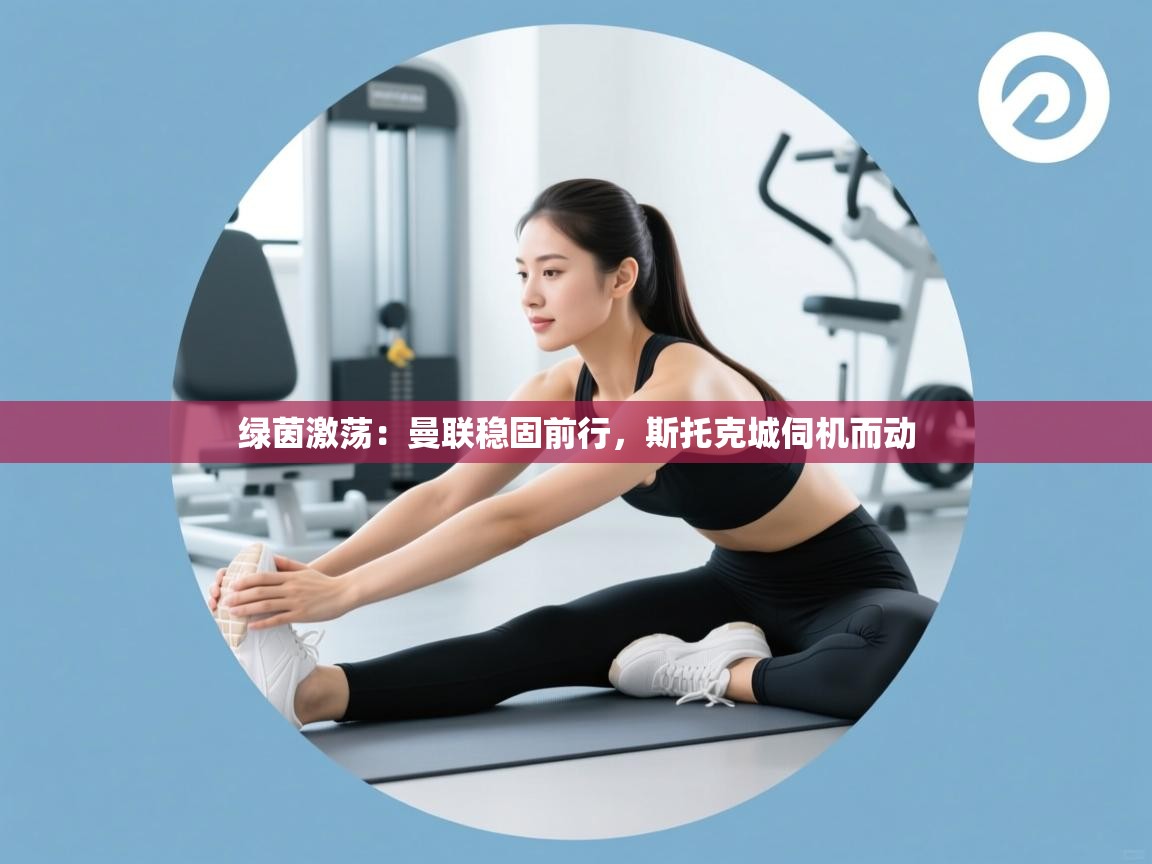 绿茵激荡：曼联稳固前行，斯托克城伺机而动  第2张