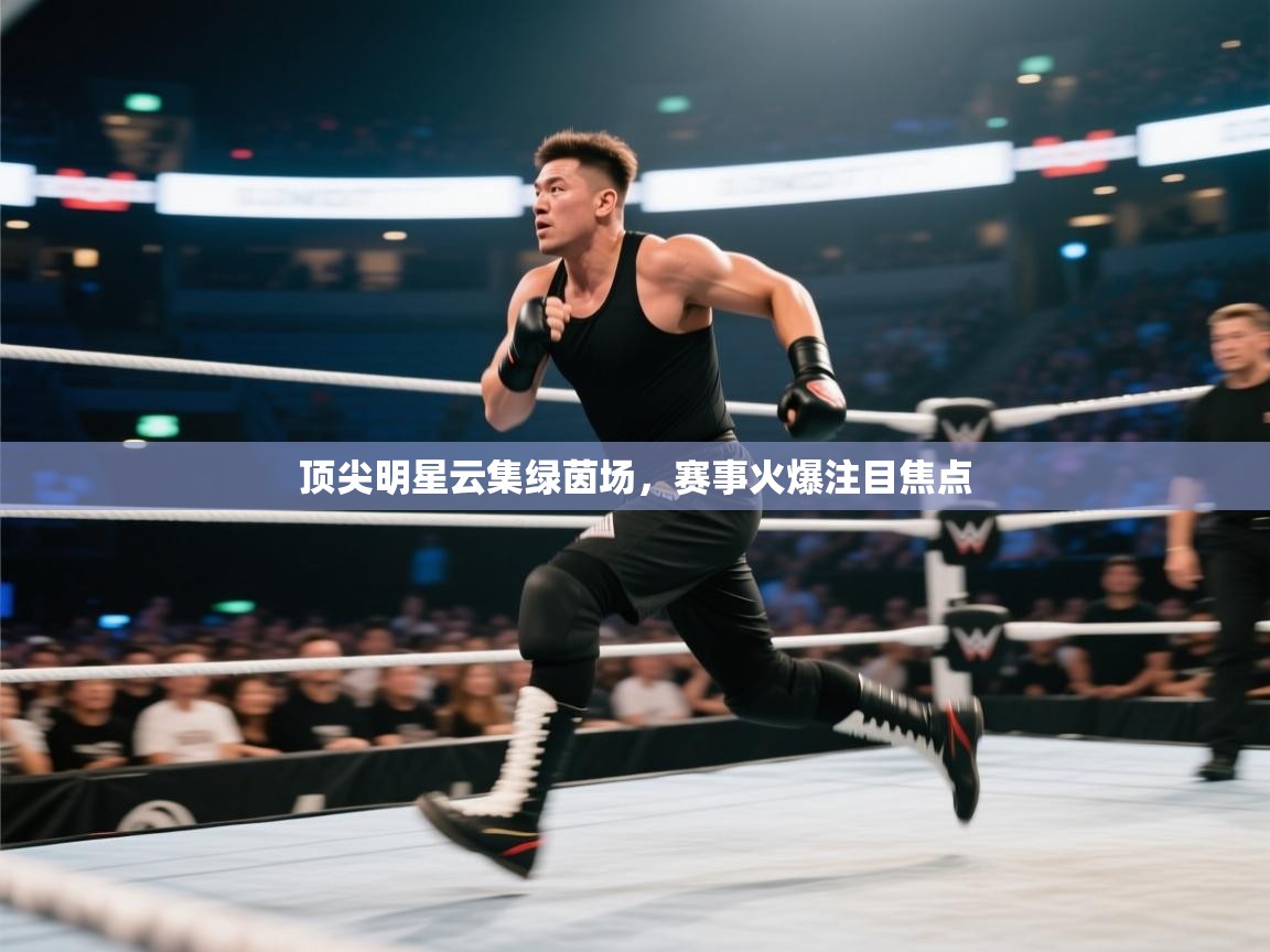 顶尖明星云集绿茵场，赛事火爆注目焦点  第2张