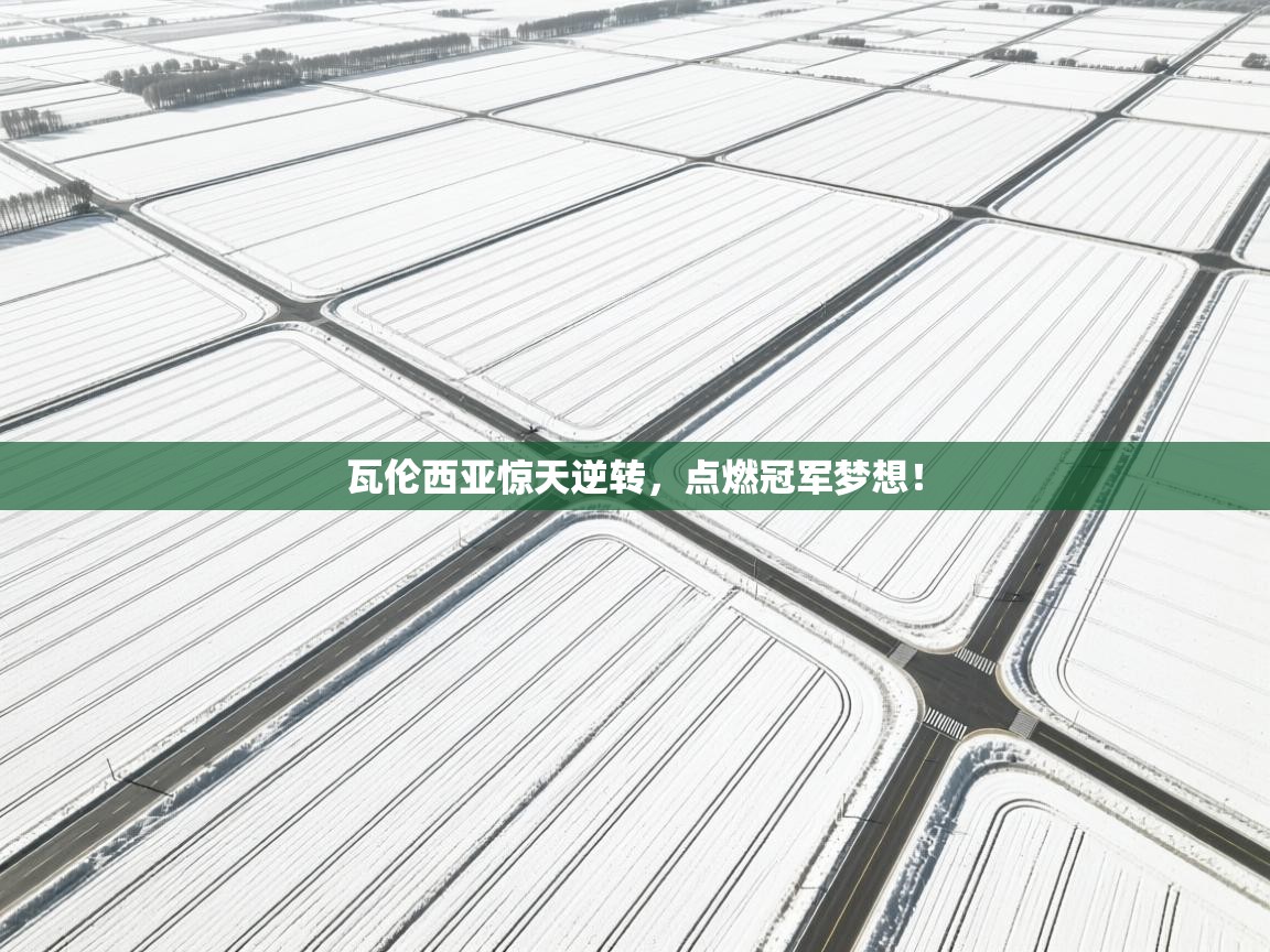 瓦伦西亚惊天逆转，点燃冠军梦想！  第2张